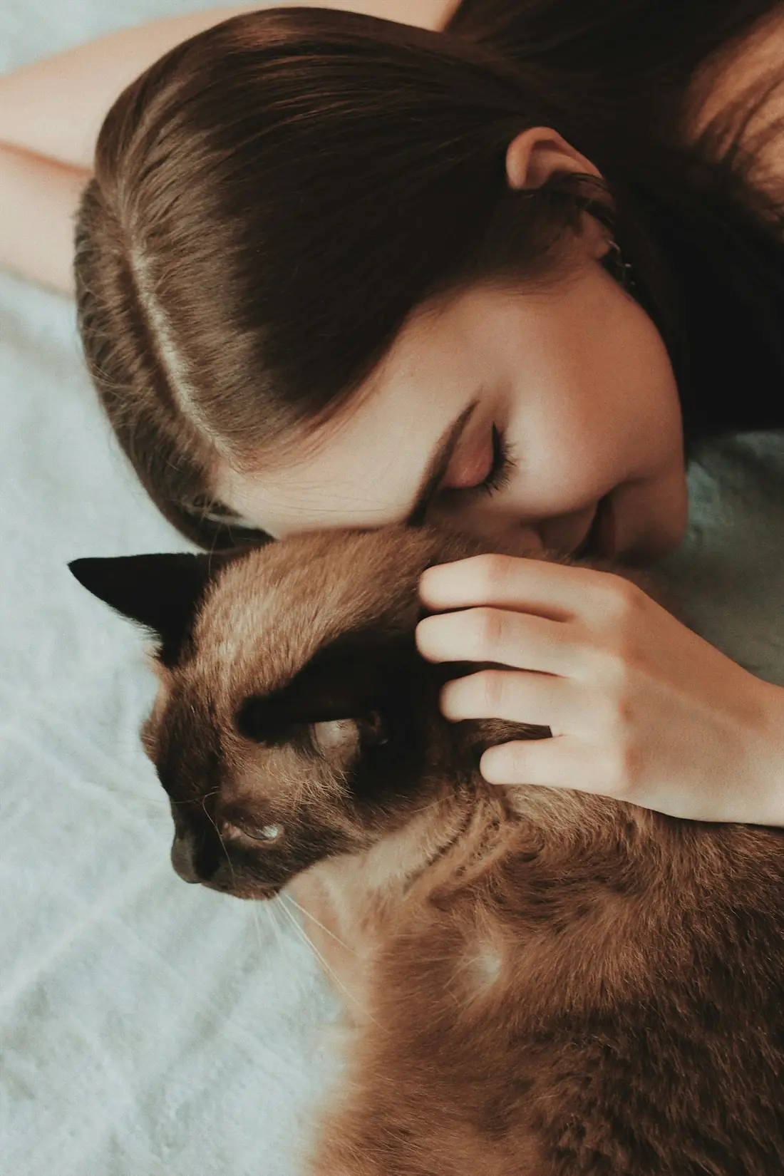 Mulher de olhos fechados encostada a um gato siamês
