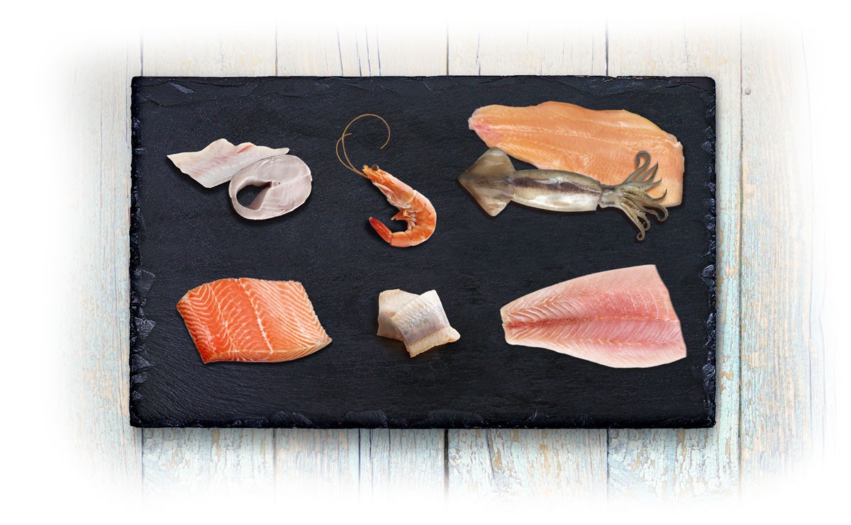 Peixe fresco disposto sobre uma lâmina de ardósia — matérias-primas da linha N&D Ocean